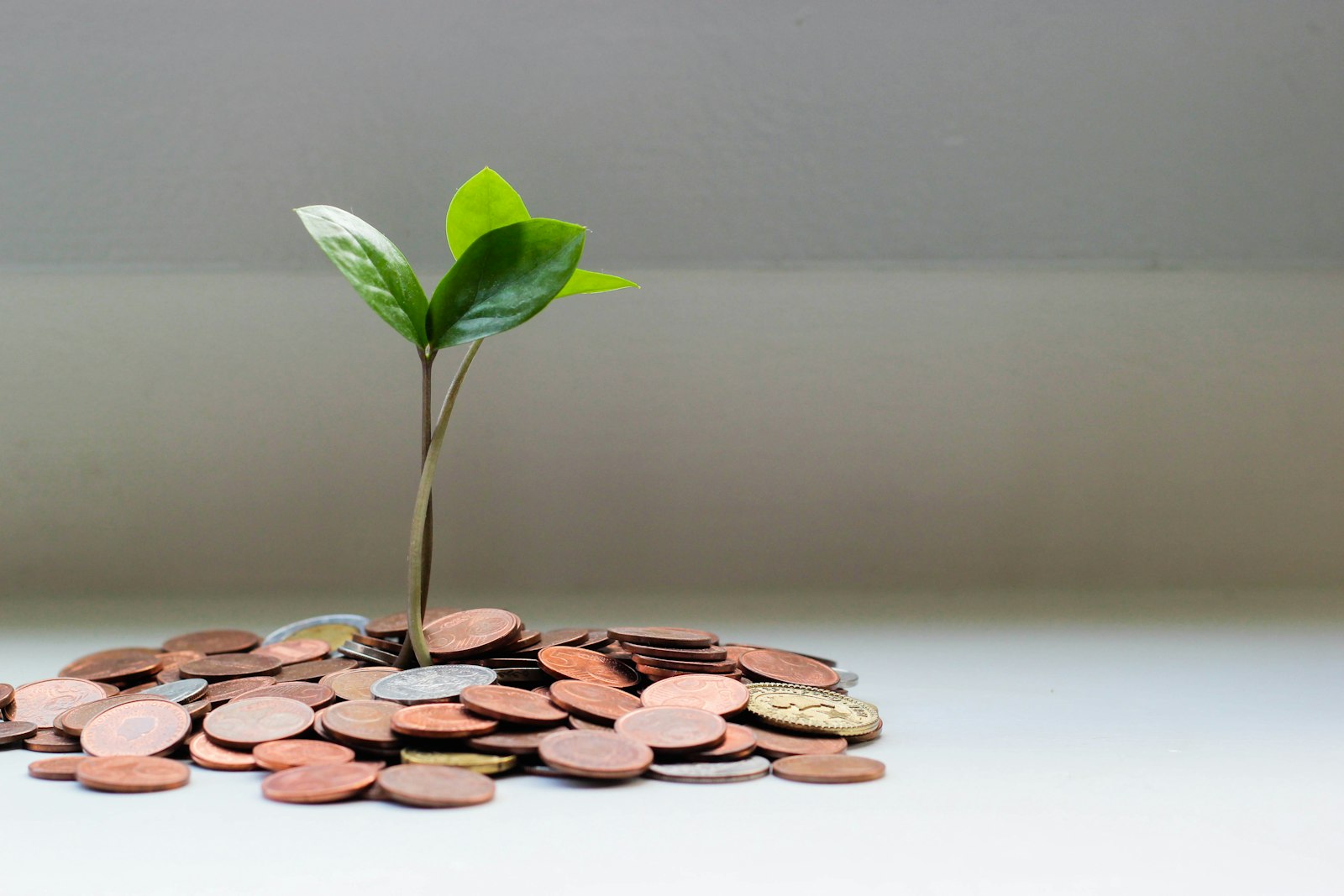 How to Prepare a Financial Plan for Unexpected Expenses and Future Needs: The Shield Blueprint